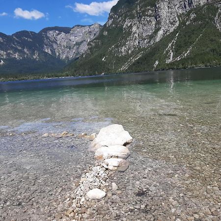 Apartma Bohinj Exterior photo