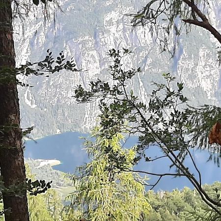 Apartma Bohinj Exterior photo