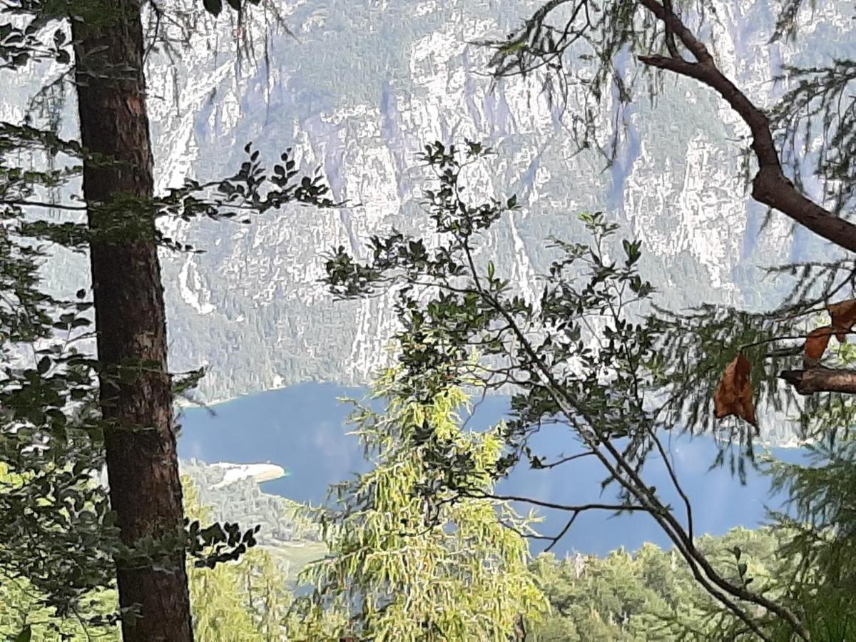 Apartma Bohinj Exterior photo